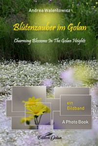 Blütenzauber im Golan